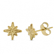 Oorbellen / oorstekers van Stainless steel Roestvrij staal (RVS) star Gold