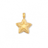 Bedels van Stainless steel Roestvrij staal (RVS) star Gold