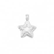 Bedels van Stainless steel Roestvrij staal (RVS) star Silver