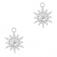 Bedels van Stainless steel Roestvrij staal (RVS) sun Silver