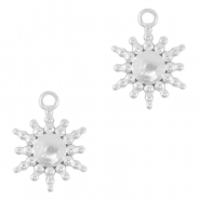 Bedels van Stainless steel Roestvrij staal (RVS) sun Silver