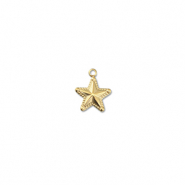 Bedels van Stainless steel Roestvrij staal (RVS) star Gold