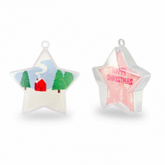 Ornament transparant star Transparent-pink/white-blue-green