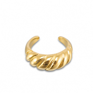 Ringen van Stainless steel Roestvrij staal (RVS) Gold