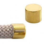 Metaal DQ eindkap Goud (nikkelvrij)