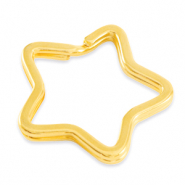 Metaal onderdelen DQ sleutelhanger star Goud (nikkelvrij)