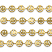 Benodigdheden van Stainless steel Roestvrij staal (RVS) jasseron smiley Gold