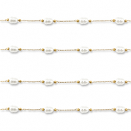 Benodigdheden van Stainless steel Roestvrij staal (RVS) jasseron with imitation pearls oval Gold-white