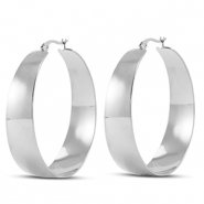 Oorbellen van Stainless steel Roestvrij staal (RVS) creolen Silver