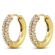 Oorbellen van Stainless steel Roestvrij staal (RVS) creolen Gold