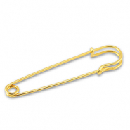 Metaal onderdelen ornamental pin Gold