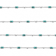 Benodigdheden van Stainless steel Roestvrij staal (RVS) jasseron howliet tube Silver-turquoise