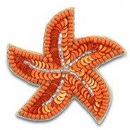 Broches starfish Orange-silverlined transparent