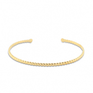 Armbanden van Stainless steel Roestvrij staal (RVS) bangle Gold