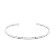 Armbanden van Stainless steel Roestvrij staal (RVS) bangle Silver