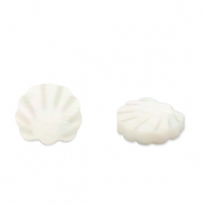 Schelp kralen scallop White (natuurlijke kleur schelp)