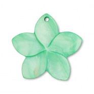 Schelp hanger flower Green