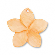 Schelp hanger flower Orange