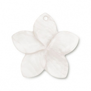 Schelp hanger flower White