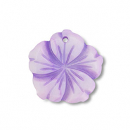 Schelp hanger flower Purple