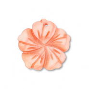 Schelp hanger flower Peach pink