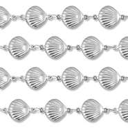 Benodigdheden van Stainless steel Roestvrij staal (RVS) jasseron shell Silver