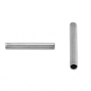 Kralen van Stainless steel Roestvrij staal (RVS) tube 12mm Silver