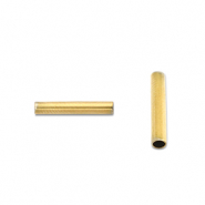 Kralen van Stainless steel Roestvrij staal (RVS) tube 5mm Gold