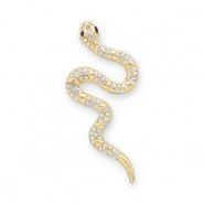 Broches snake Gold-transparent-black