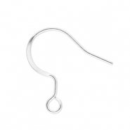 Benodigdheden van Stainless steel Roestvrij staal (RVS) oorbellen / oorhanger with loop Silver