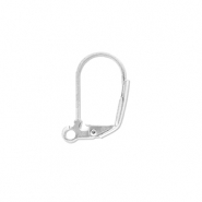 Benodigdheden van Stainless steel Roestvrij staal (RVS) sluitbare oorhanger with loop Silver
