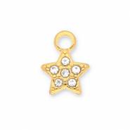 Bedels van Stainless steel Roestvrij staal (RVS) star with strass Gold-transparent