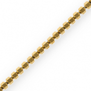 Kralen van hematite hexagon Gold