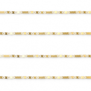 Benodigdheden van Stainless steel Roestvrij staal (RVS) jasseron figaro link Gold