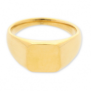 Ringen van Stainless steel Roestvrij staal (RVS) with square Gold