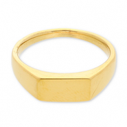 Ringen van Stainless steel Roestvrij staal (RVS) with rectangle Gold