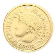 Bedels van Stainless steel Roestvrij staal (RVS) coin Gold