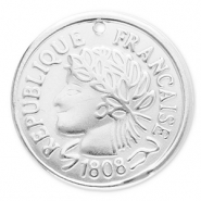 Bedels van Stainless steel Roestvrij staal (RVS) coin Silver