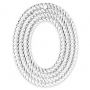 Bedels van Stainless steel Roestvrij staal (RVS) oval Silver