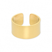Ringen van Stainless steel Roestvrij staal (RVS) Gold