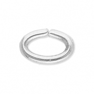 Benodigdheden van Stainless steel Roestvrij staal (RVS) buigring oval Silver