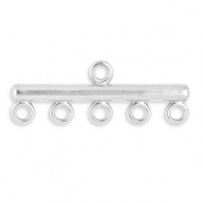 Benodigdheden van Stainless steel Roestvrij staal (RVS) hangers met 5 oogjes Silver