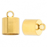 Benodigdheden van Stainless steel Roestvrij staal (RVS) eindkap Ø10mm met oog Gold