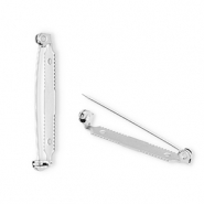 Benodigdheden van Stainless steel Roestvrij staal (RVS) brochespeld Silver