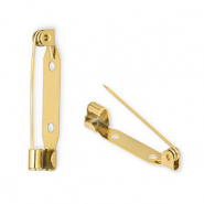 Benodigdheden van Stainless steel Roestvrij staal (RVS) brochespeld Gold