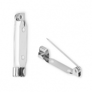 Benodigdheden van Stainless steel Roestvrij staal (RVS) brochespeld Silver