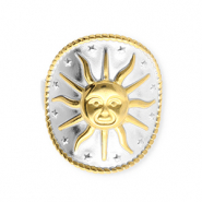 Ringen van Stainless steel Roestvrij staal (RVS) sun Silver-gold