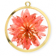 Gedroogde bloemetjes bedel 34mm Gold-living coral red