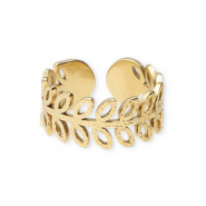 Ringen van Stainless steel Roestvrij staal (RVS) Goud