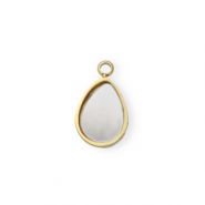 Bedel van Stainless steel Roestvrij staal (RVS) shell drop Gold-white (natuurlijke kleur)